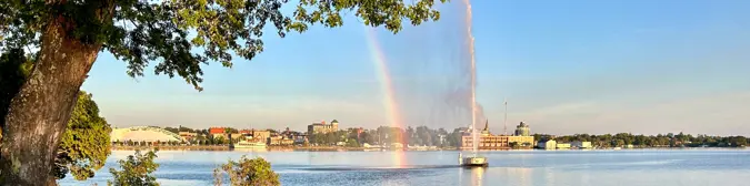 [A vibrant rainbow arcs over a calm blue lake, with a large tree and green grass on the left. A fountain sprays water, reflecting the rainbow in the distance. Photo by Devyn M.}