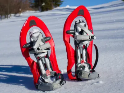 A pair of snowshoes standing up in the snow.
