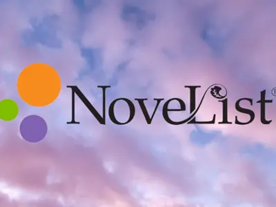 Novelist logo with a purply sky in the background.