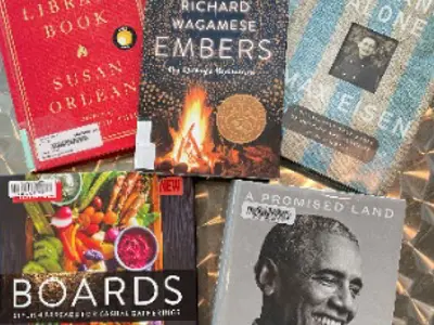 Non-fiction books.