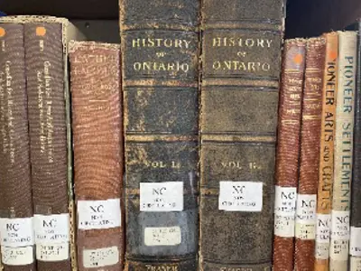 Spines of old books.