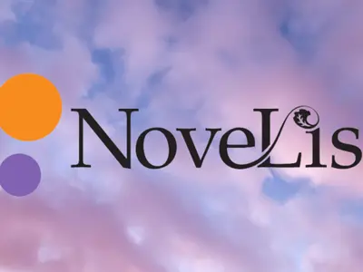 Purple and orange clouds in the sky with Novelist logo.